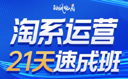 白凤电商·淘系运营21天速成班(更新9月)-kaigewz