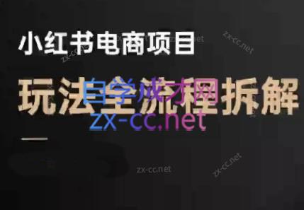 菲菲老师·小红书电商玩法(更新9月)-kaigewz