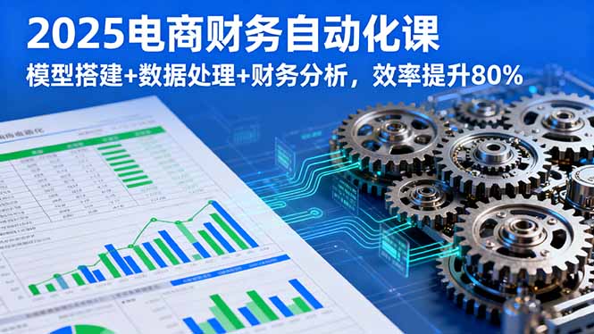 2025电商财务自动化课，模型搭建+数据处理+财务分析，效率提升80%-kaigewz