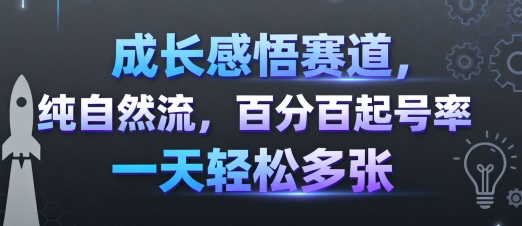 成长感悟赛道，纯自然流，百分百起号率 一天轻松多张-kaigewz