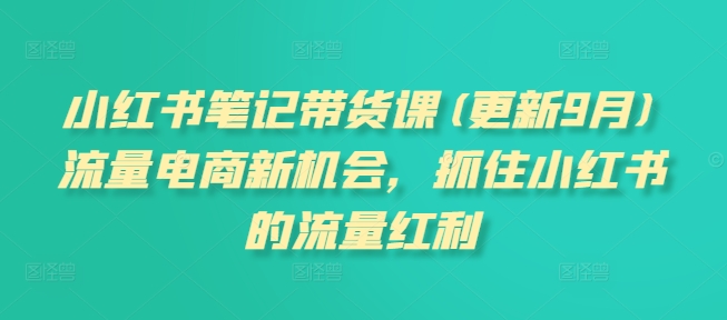 小红书笔记带货课(更新25年9月)流量电商新机会，抓住小红书的流量红利-kaigewz