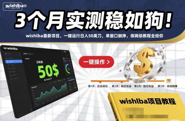 3个月实测稳如狗！wishlba最新项目，一键运行日入50美刀，单窗口躺挣，保姆级教程全给你【揭秘】-kaigewz